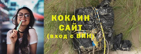 соль ск Алзамай