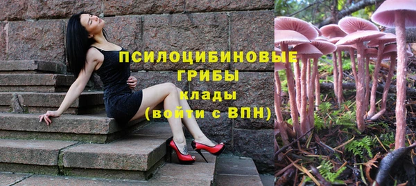 амф Алексин