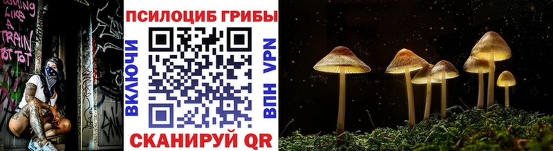 omg ССЫЛКА  Златоуст  Псилоцибиновые грибы мухоморы 